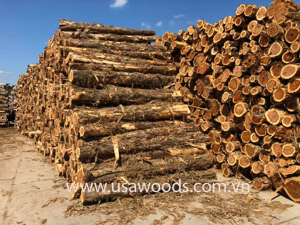 GỖ TUYẾT TÙNG ĐỎ TRÒN (RED CEDAR LOG) GỖ TUYẾT TÙNG ĐỎ TRÒN(RED CEDAR LOG)