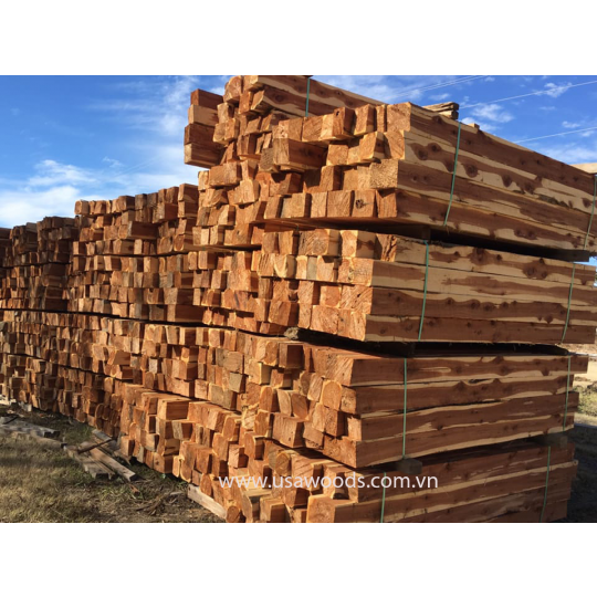 GỖ TUYẾT TÙNG ĐỎ (RED CEDAR) GỖ TUYẾT TÙNG ĐỎ (RED CEDAR)