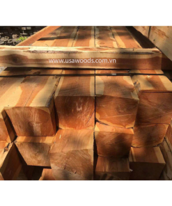 GỖ TUYẾT TÙNG ĐỎ (RED CEDAR) GỖ TUYẾT TÙNG ĐỎ (RED CEDAR)