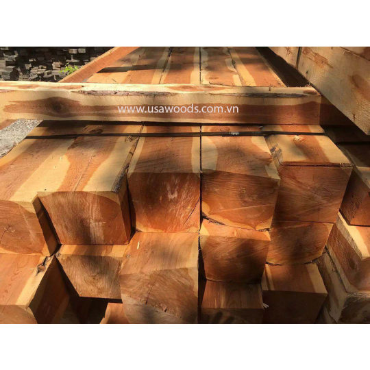 GỖ TUYẾT TÙNG ĐỎ (RED CEDAR) GỖ TUYẾT TÙNG ĐỎ (RED CEDAR)