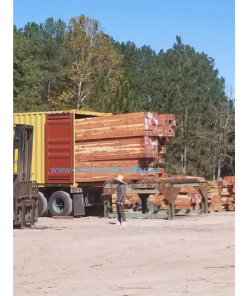GỖ TUYẾT TÙNG ĐỎ (RED CEDAR) GỖ TUYẾT TÙNG ĐỎ (RED CEDAR)