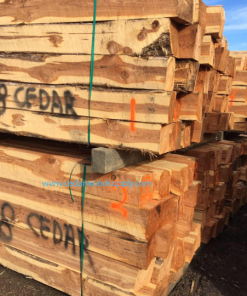 GỖ TUYẾT TÙNG ĐỎ (RED CEDAR) GỖ TUYẾT TÙNG ĐỎ (RED CEDAR)