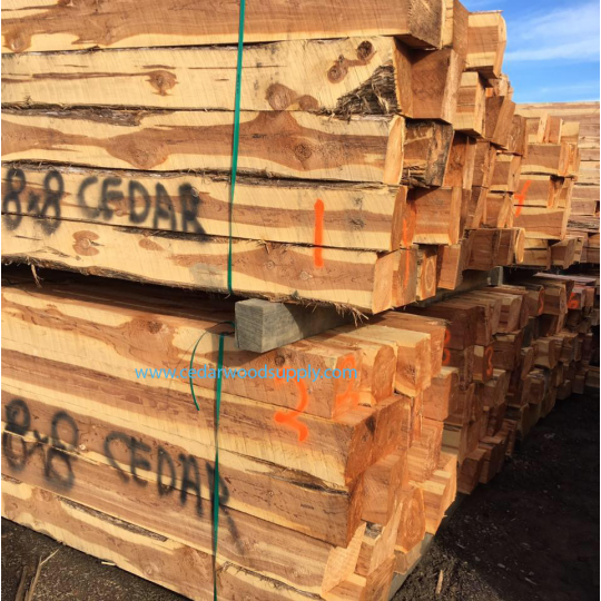 GỖ TUYẾT TÙNG ĐỎ (RED CEDAR) GỖ TUYẾT TÙNG ĐỎ (RED CEDAR)