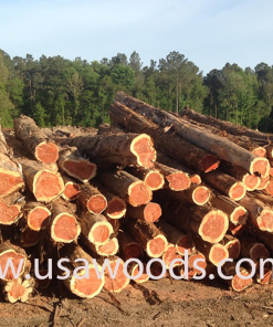 GỖ TUYẾT TÙNG ĐỎ TRÒN (RED CEDAR LOG) GỖ TUYẾT TÙNG ĐỎ TRÒN(RED CEDAR LOG)