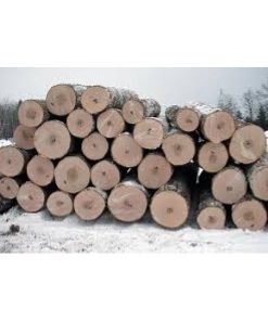 GỖ SỒI TRÒN (OAK LOG) GỖ SỒI TRÒN (OAK LOG)