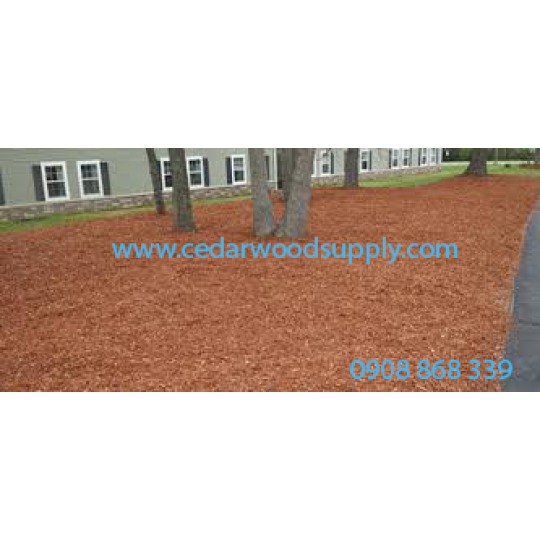 CEDAR MULCH CEDAR MULCH