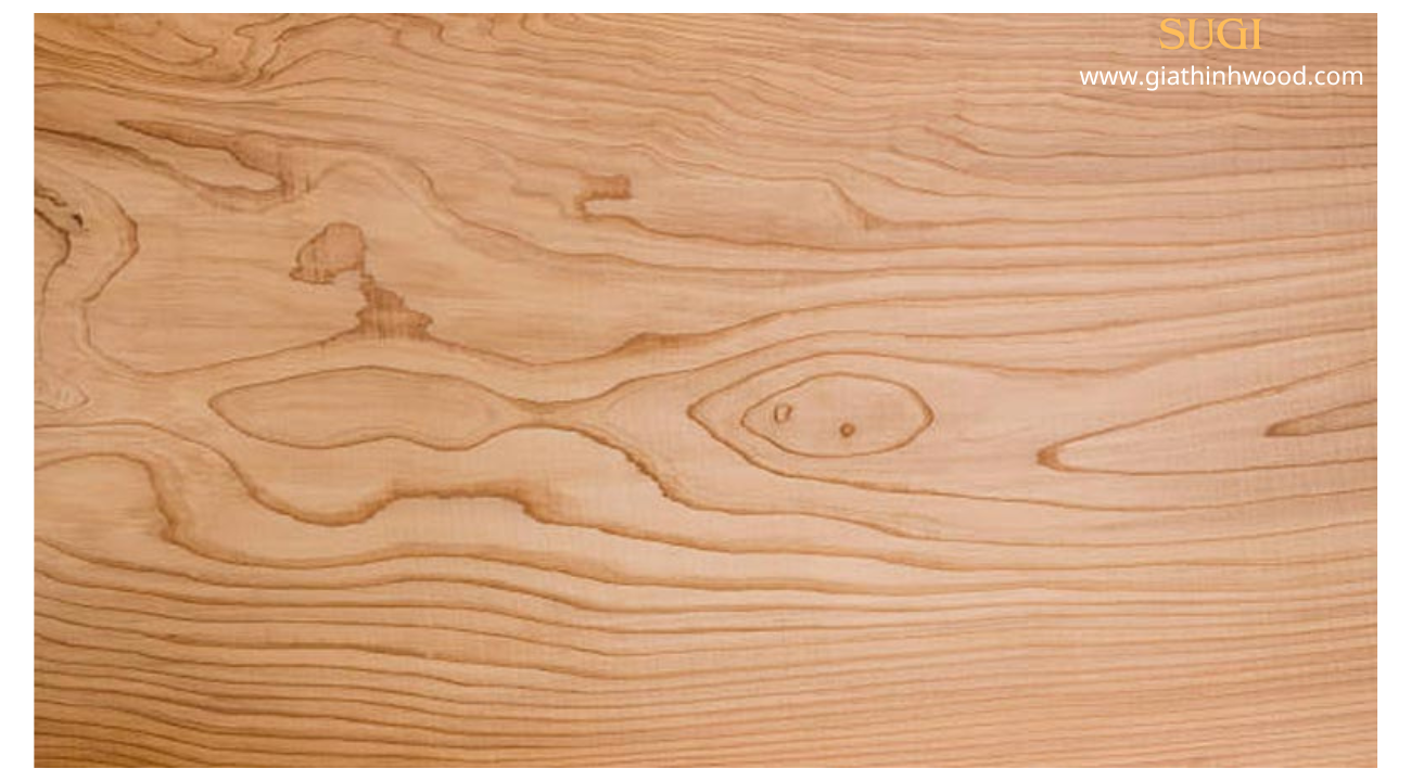 Gỗ Sugi – Gỗ Quý, Gỗ Thơm Tuyết tùng Nhật Bản Gỗ Sugi – Gỗ Quý, Gỗ Thơm Tuyết tùng Nhật Bản