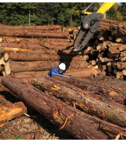 GỖ HINOKI NHẬT GỖ HINOKI NHẬT
