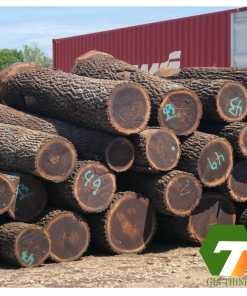 Trang chủ GIA THINH WOOD